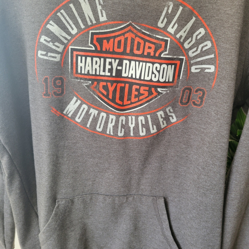 Harley-Davidson Gray Graphic Pullover Hoodie - Picture 2 of 5